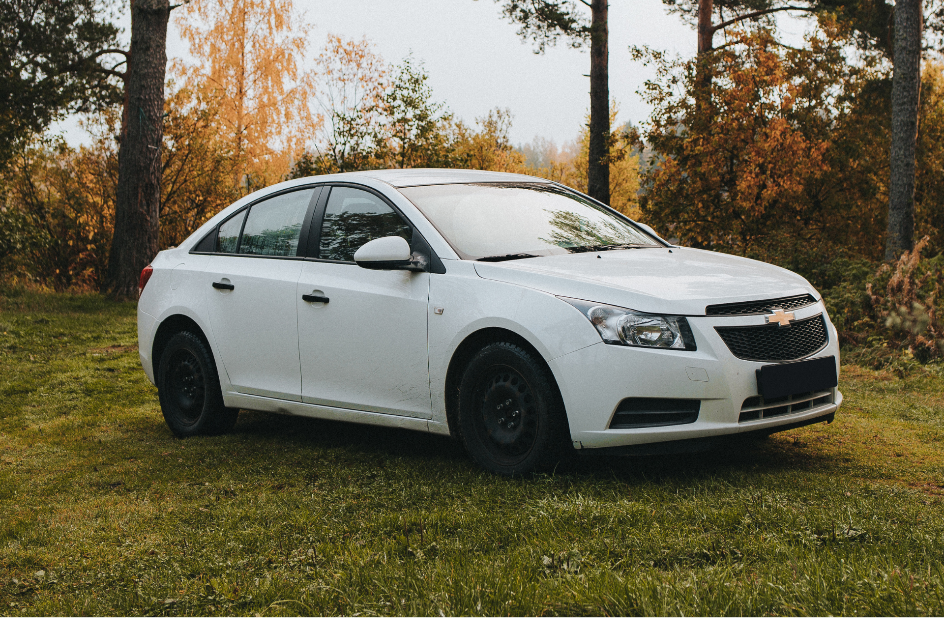 Cruze